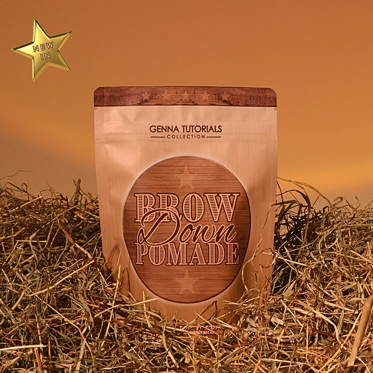 Brow Down Pomade (Includes 2in1 Brush)